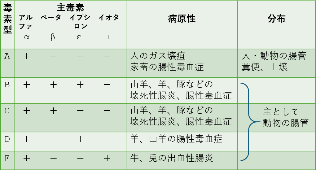 表2.　毒素型A～Eの主毒素4種、病原性、分布