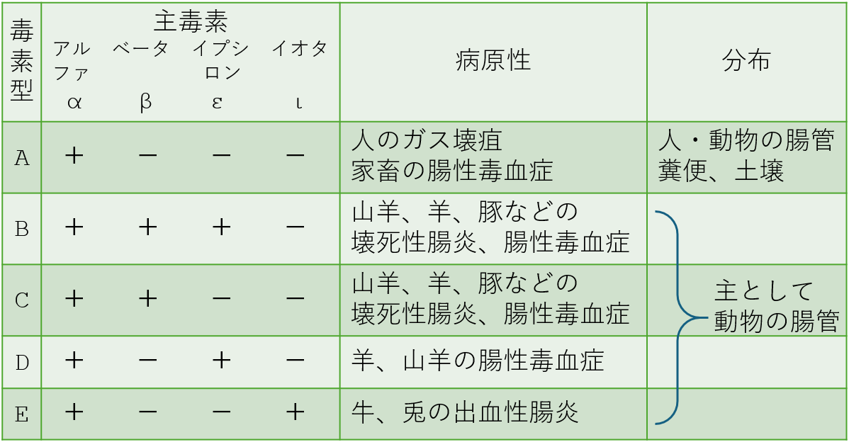 表2.　毒素型A~Eの主毒素4種(α~ι)、病原性、分布